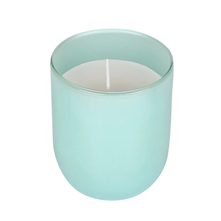 Premium Scented Glass Candle (Blueberry)
